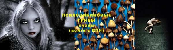 мет Каменск-Шахтинский