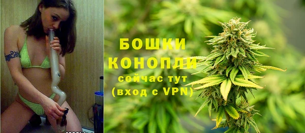 прущие крисы Каменка