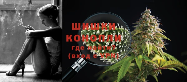 ECSTASY Каменногорск